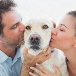 Organic Pet Treats